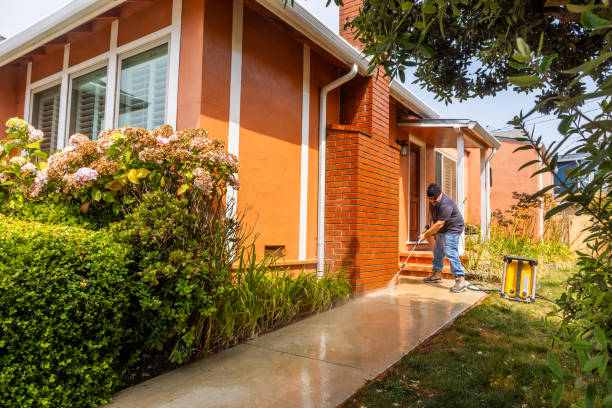  Boyceville, WI Pressure Washing Pros